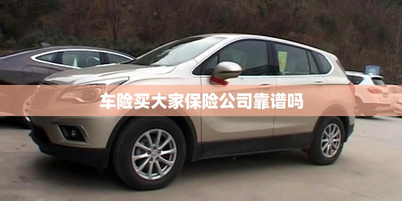 车险买大家保险公司靠谱吗