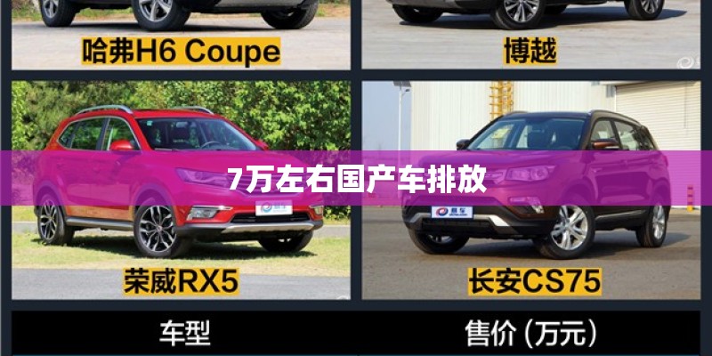 7万左右国产车排放