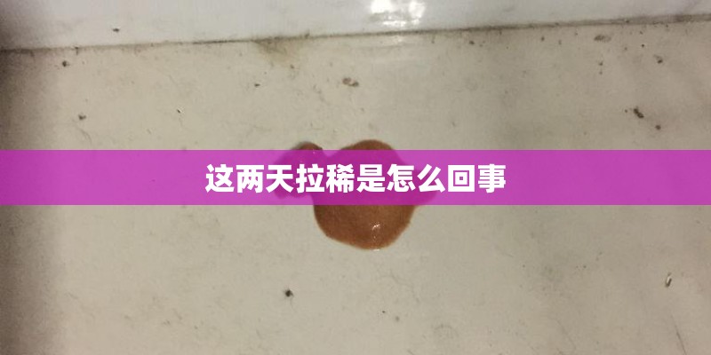 这两天拉稀是怎么回事