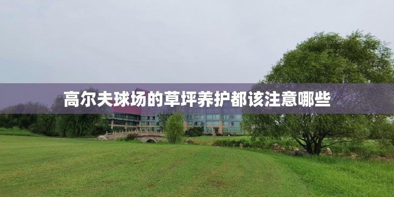 高尔夫球场的草坪养护都该注意哪些