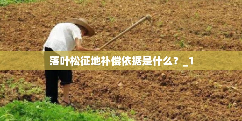 落叶松征地补偿依据是什么？_1