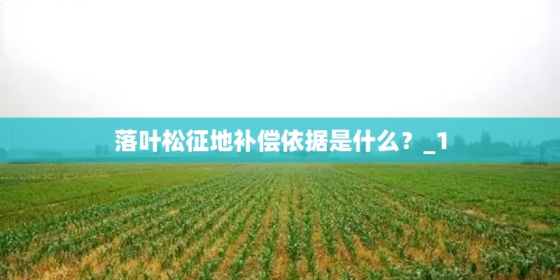 落叶松征地补偿依据是什么？_1
