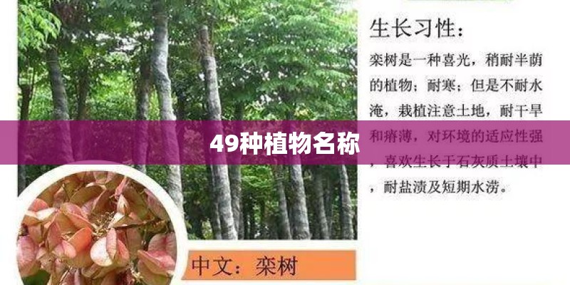 49种植物名称