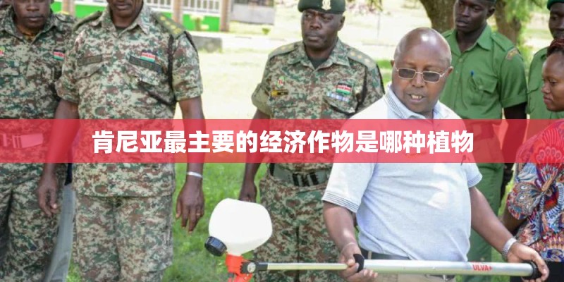 肯尼亚最主要的经济作物是哪种植物