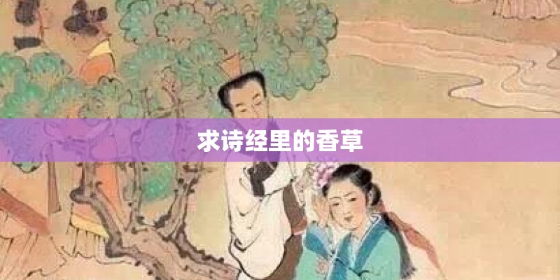 求诗经里的香草