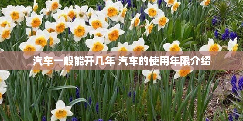 汽车一般能开几年 汽车的使用年限介绍