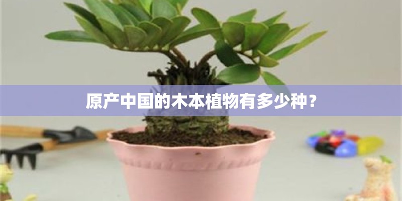 原产中国的木本植物有多少种？