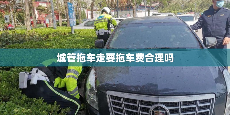城管拖车走要拖车费合理吗