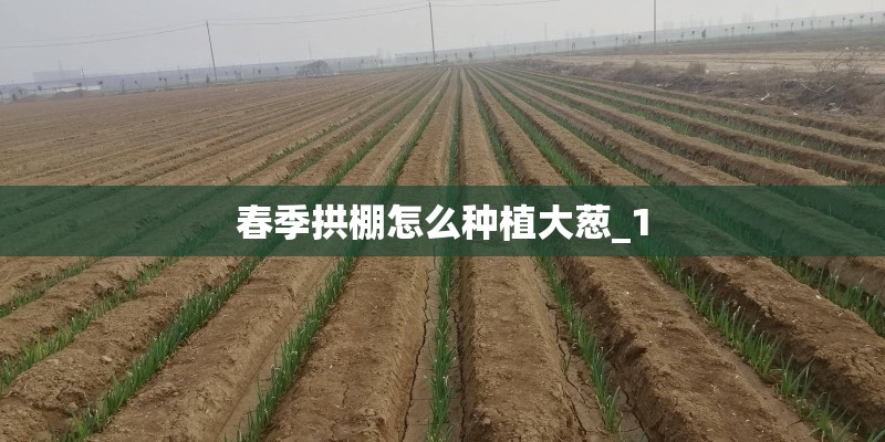 清远温泉十大排名