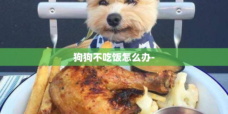 狗狗不吃饭怎么办- 狗狗不吃饭怎么办-