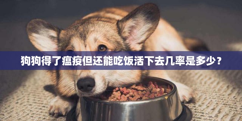 狗狗得了瘟疫但还能吃饭活下去几率是多少？