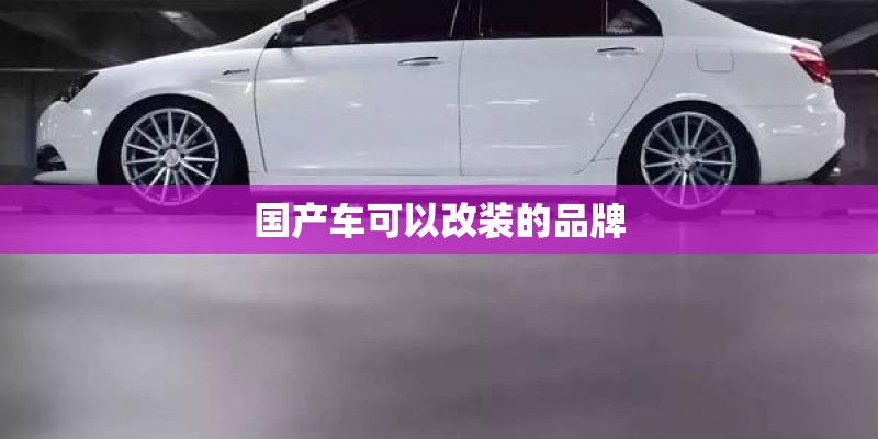 国产车可以改装的品牌