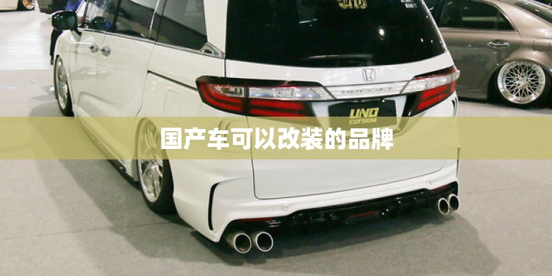 国产车可以改装的品牌