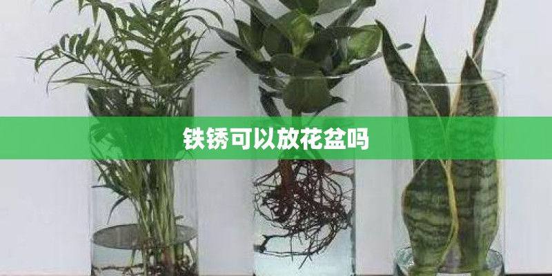 铁锈可以放花盆吗