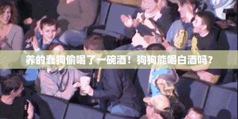 养的蠢狗偷喝了一碗酒!狗狗能喝白酒吗? 养的蠢狗偷喝了一碗酒!狗狗能喝白酒吗?