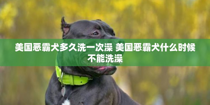 美国恶霸犬多久洗一次澡 美国恶霸犬什么时候不能洗澡