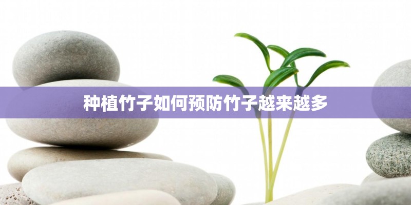 种植竹子如何预防竹子越来越多