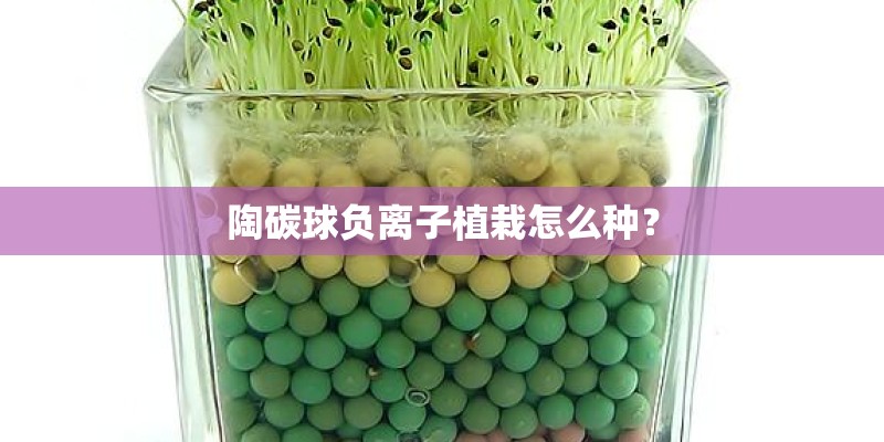 陶碳球负离子植栽怎么种? 陶碳球负离子植栽怎么种?