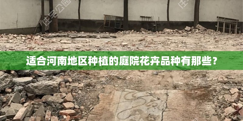 适合河南地区种植的庭院花卉品种有那些？
