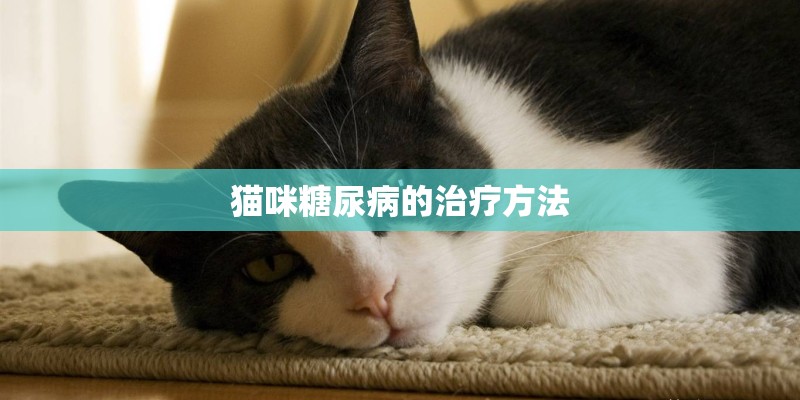 猫咪糖尿病的治疗方法 猫咪糖尿病的治疗方法