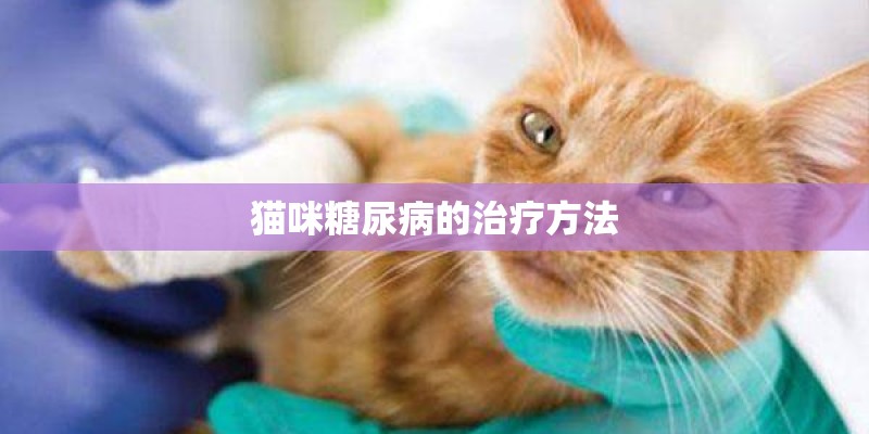 猫咪糖尿病的治疗方法 猫咪糖尿病的治疗方法