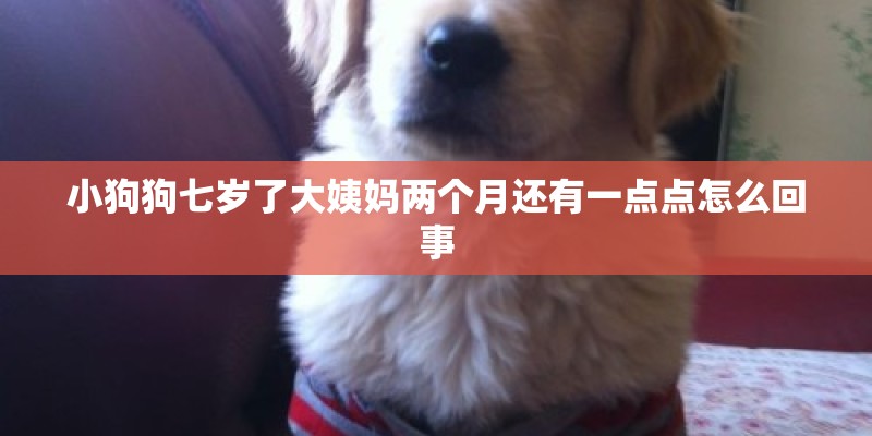 小狗狗七岁了大姨妈两个月还有一点点怎么回事