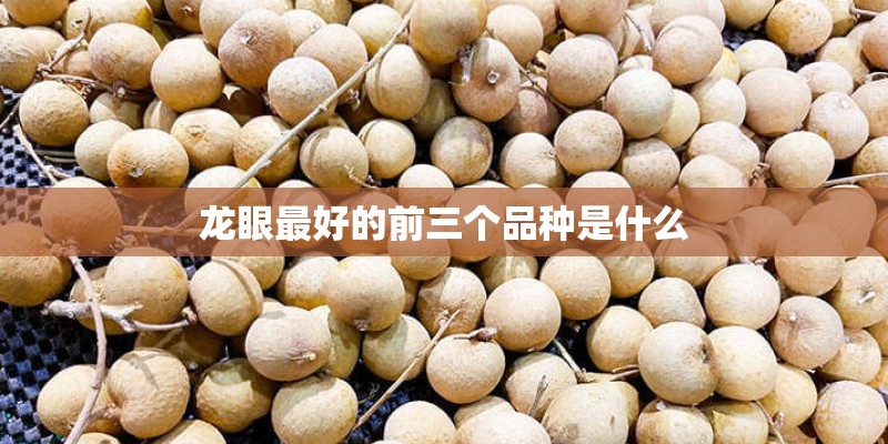 龙眼最好的前三个品种是什么