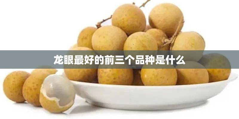 龙眼最好的前三个品种是什么 龙眼最好的前三个品种是什么