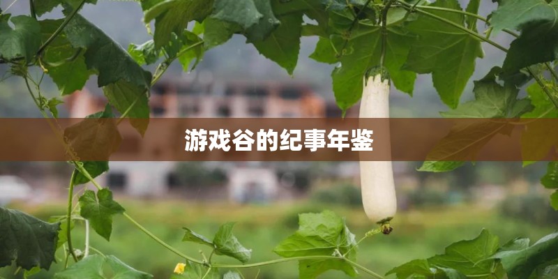 游戏谷的纪事年鉴