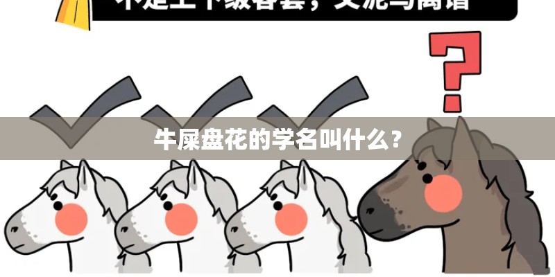 牛屎盘花的学名叫什么? 牛屎盘花的学名叫什么?