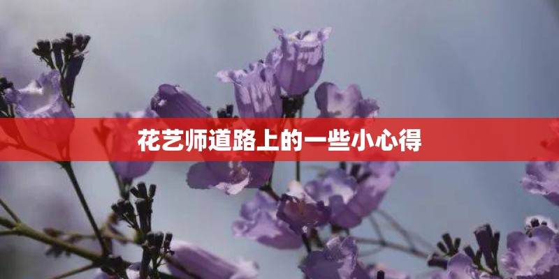 花艺师道路上的一些小心得 花艺师道路上的一些小心得