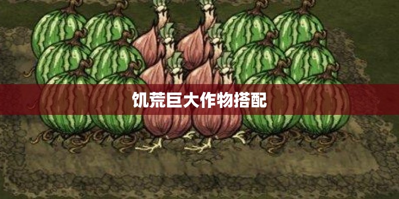 饥荒巨大作物搭配