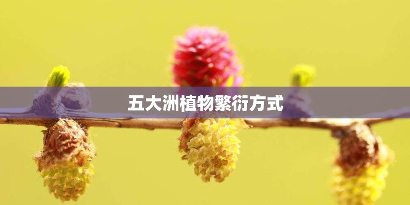 五大洲植物繁衍方式