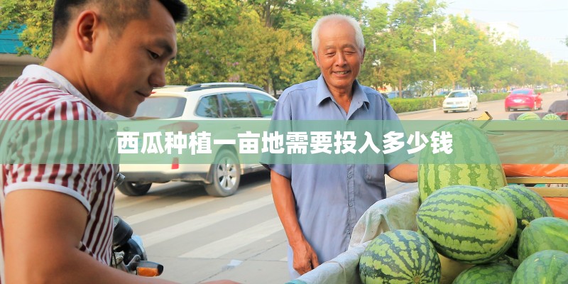 西瓜种植一亩地需要投入多少钱 西瓜种植一亩地需要投入多少钱