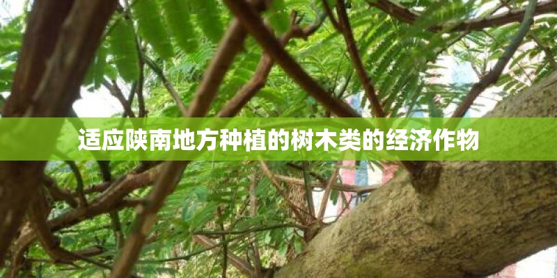 适应陕南地方种植的树木类的经济作物 适应陕南地方种植的树木类的经济作物