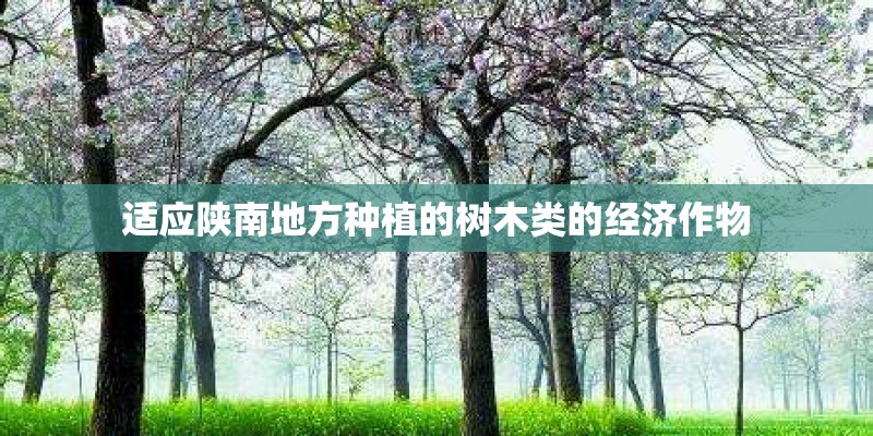 适应陕南地方种植的树木类的经济作物 适应陕南地方种植的树木类的经济作物