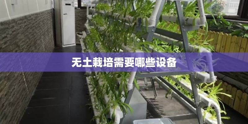 无土栽培需要哪些设备 无土栽培需要哪些设备