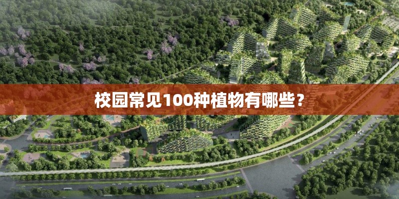 深圳到阳江去公路旅行攻略深圳到阳江去公路旅行攻略路线