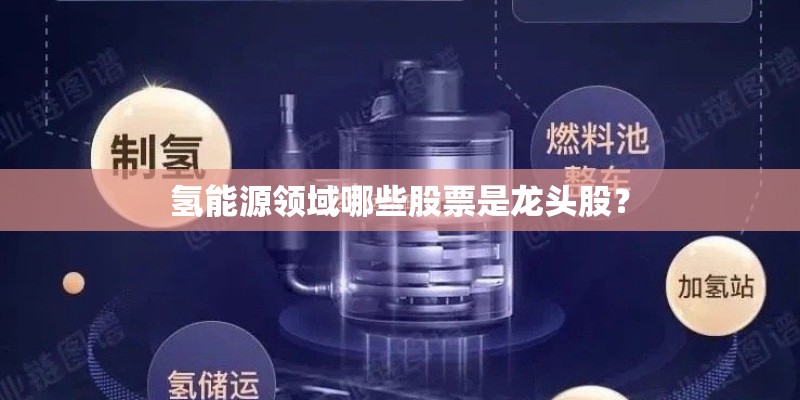 氢能源领域哪些股票是龙头股？