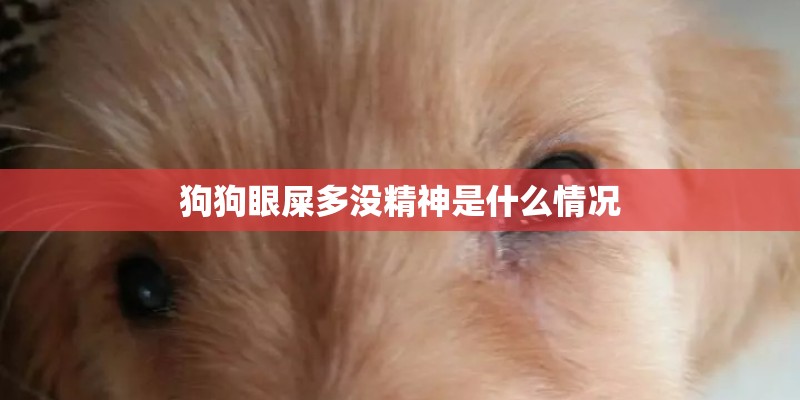 狗狗眼屎多没精神是什么情况 狗狗眼屎多没精神是什么情况