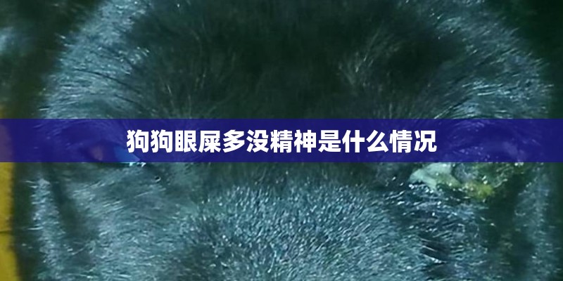 狗狗眼屎多没精神是什么情况 狗狗眼屎多没精神是什么情况
