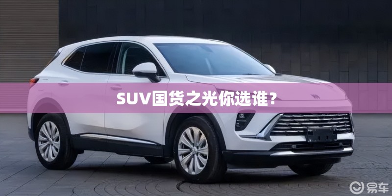 SUV国货之光你选谁? SUV国货之光你选谁?