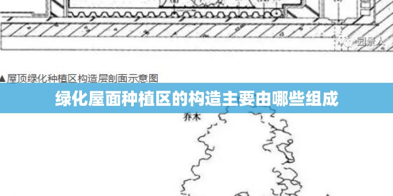 绿化屋面种植区的构造主要由哪些组成