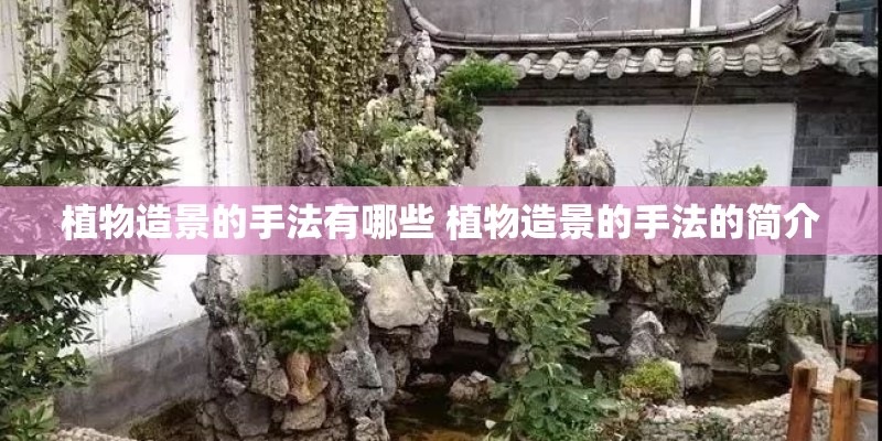 植物造景的手法有哪些 植物造景的手法的简介