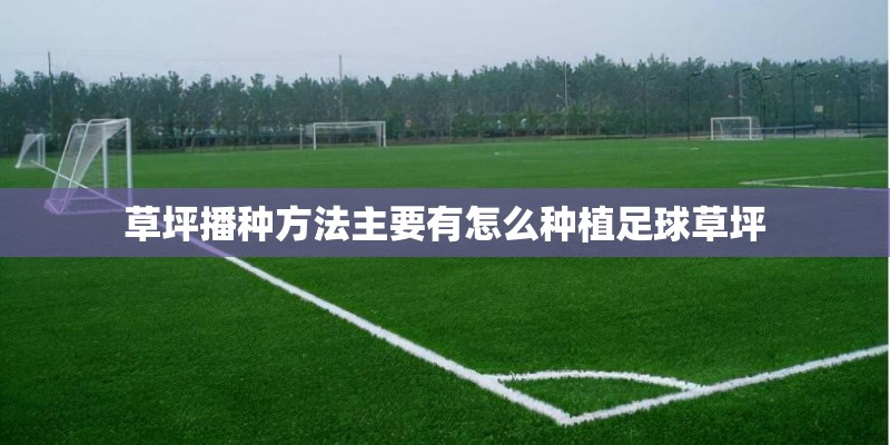 草坪播种方法主要有怎么种植足球草坪 草坪播种方法主要有怎么种植足球草坪