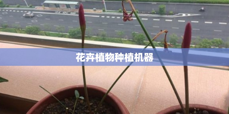 花卉植物种植机器