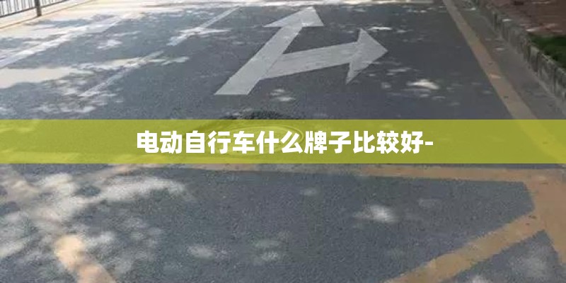 电动自行车什么牌子比较好-