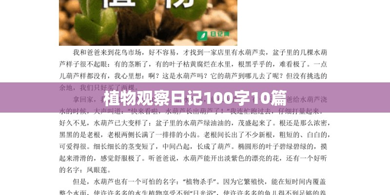 植物观察日记100字10篇