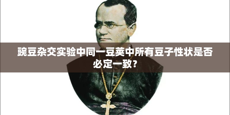 豌豆杂交实验中同一豆荚中所有豆子性状是否必定一致？