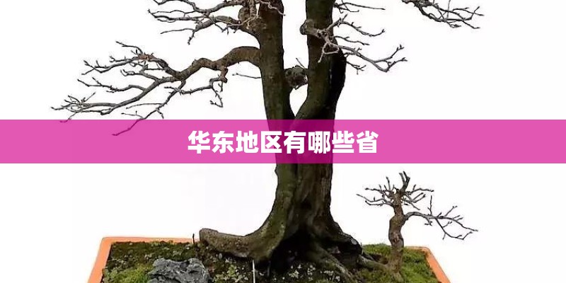 华东地区有哪些省
